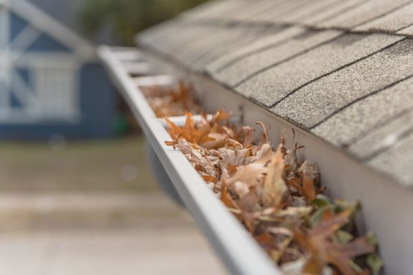 Leaf Barrier Installation in Dover